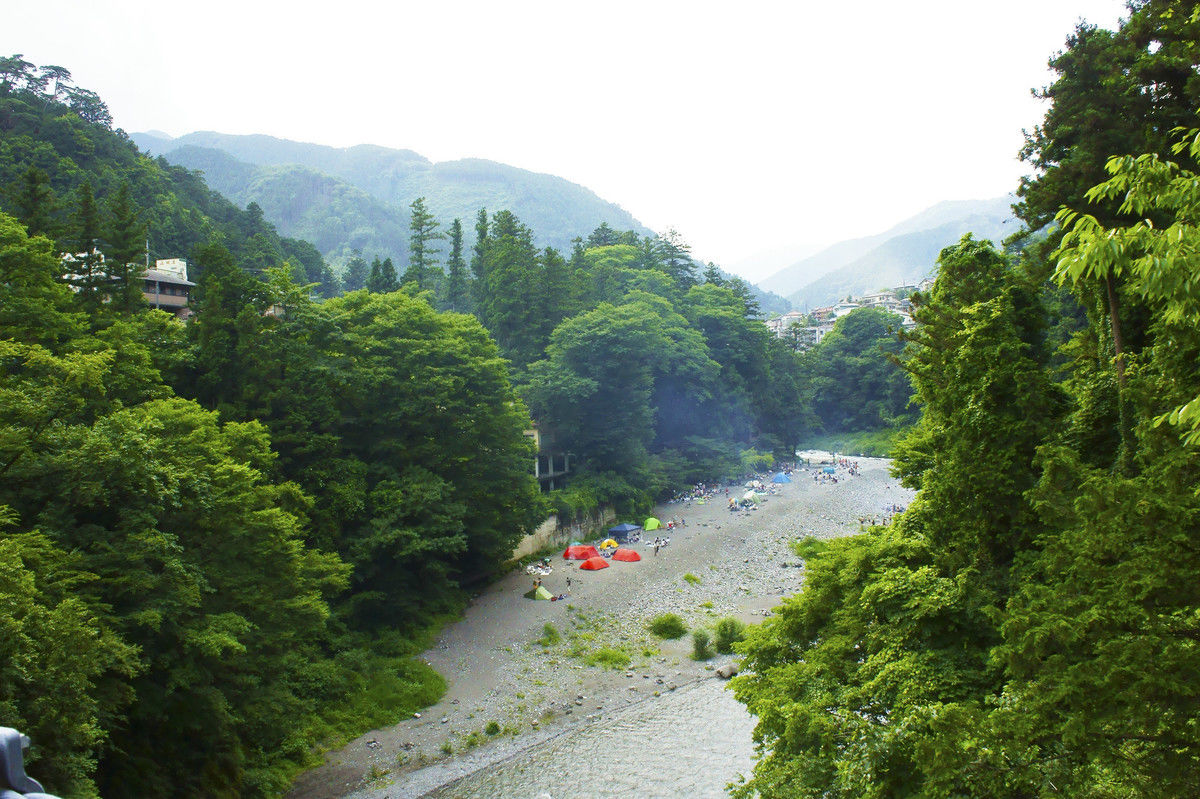 Woods in Okutama, Tokyo