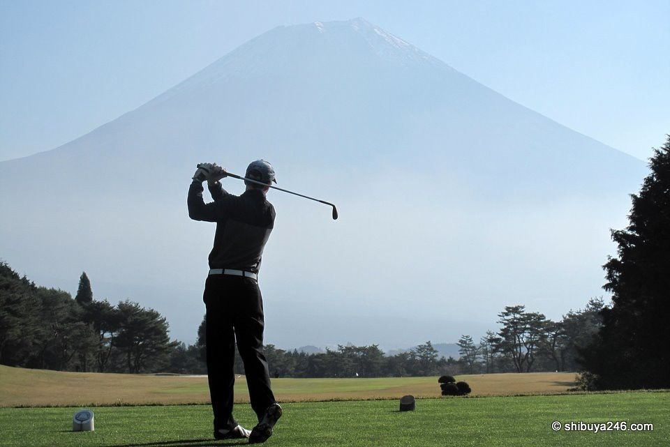 VEGA brand golf clubs